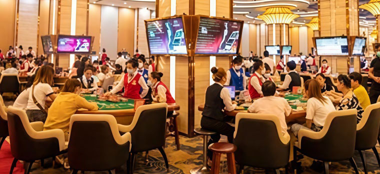 现场展示